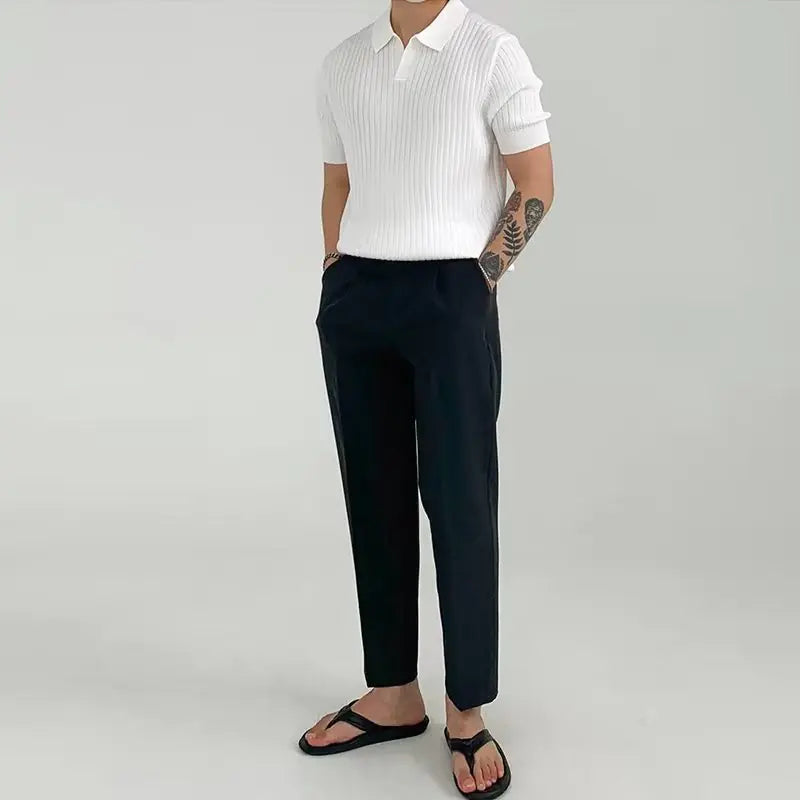 2023 Japanese Style Trendy Men's Polo Shirt (Short Sleeve)