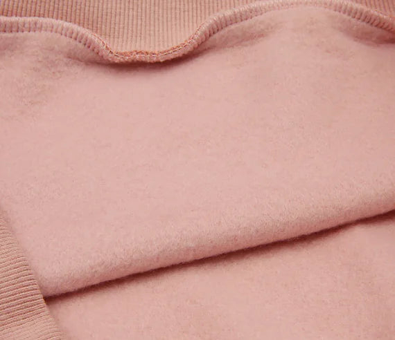 Loose Fit Plus Fleece Hooded Sweater for Students